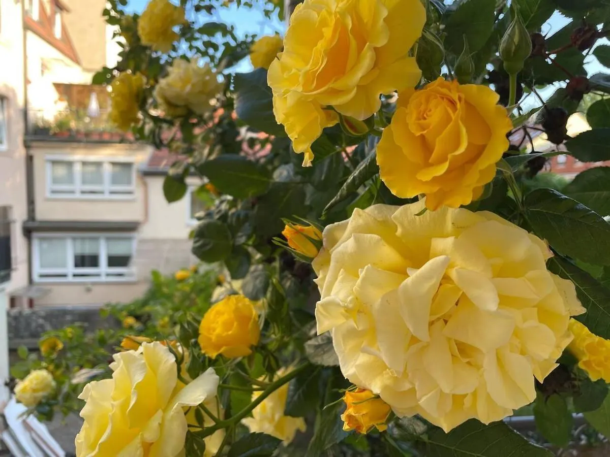 Cozy Rosy, Dein Feinzeit Apartment Bamberg Germany